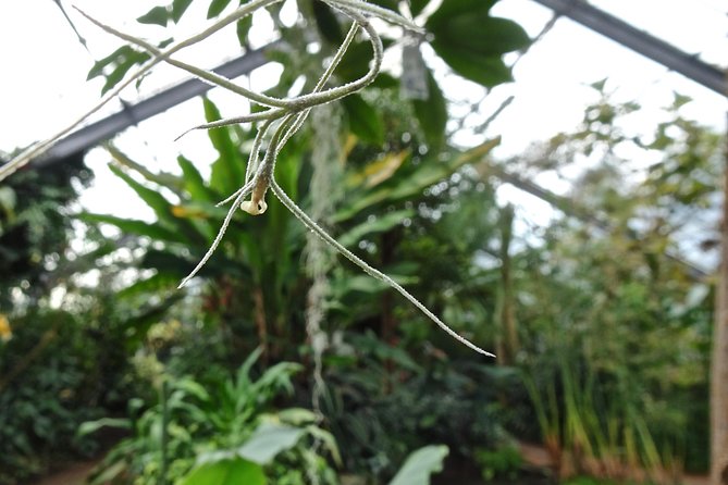 Skip-the-Line: Botanic Garden Entry Ticket - Timing That Actually Matters: Opening Hours and Last Entry