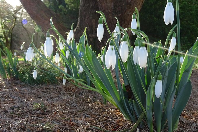 Skip-the-Line: Botanic Garden Entry Ticket - Who This Garden Ticket Fits Best, and Who Might Want to Reconsider