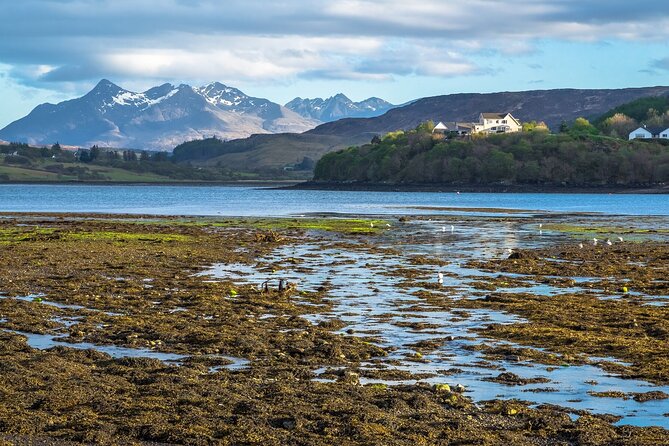 Skye Day Tour from Inverness with Fairy Pools & Dunvegan Castle - Rogie Falls and the Suspension Bridge: A Quick Start With Big Payoff