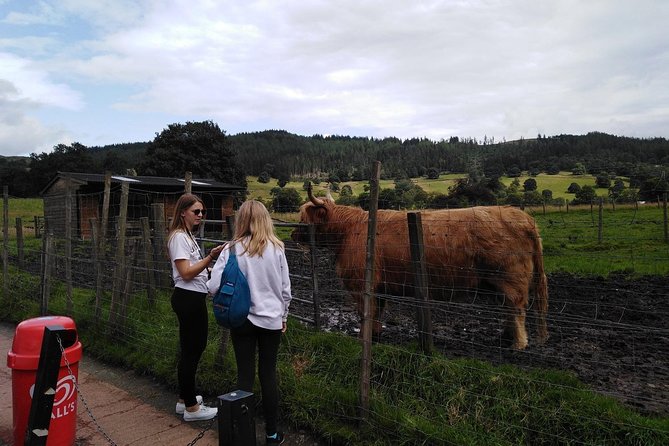 Stirling Castle, Hairy Coo's & The Trossachs - The Kelpies and The Helix: giant scale, real folktales, and a quick reset