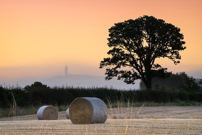 Stirling Castle, Kelpies, Falkirk Wheel, Cows Half Day Tour - Stirling Castle: your hour and a half of 16th-century stories