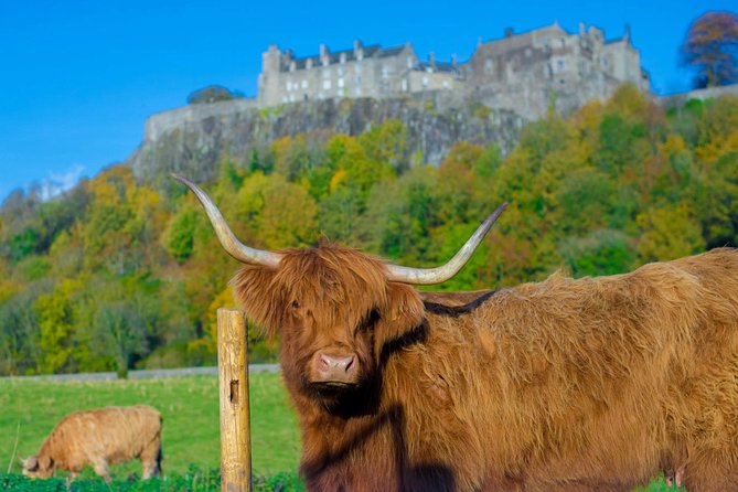 Stirling Castle,Trossachs National and Loch Lomond Day Tour from Edinburgh - Balmaha on Loch Lomond, Ben Lomond views and an easy woodland walk