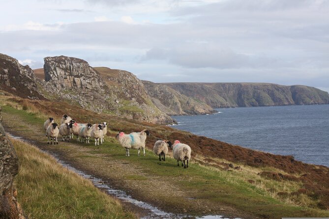 Stornoway (Isle of Lewis):Heritage and Coastline Tour - Should you book this Stornoway Heritage and Coastline Tour?