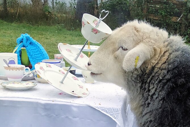 Tea with Naughty Sheep - Beccy’s Hosting Style and the Power of a Small Group