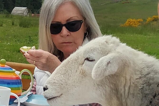 Tea with Naughty Sheep - Outdoor Reality Check: Mud, Nibbles, and Clothing Choices