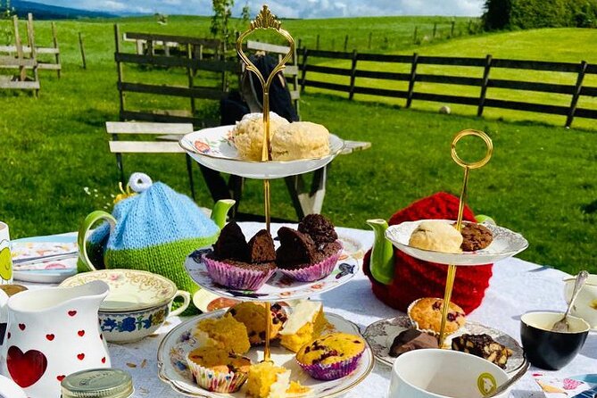Tea with Naughty Sheep - Feeding, Stroking, and Earning Trust in the Meadow
