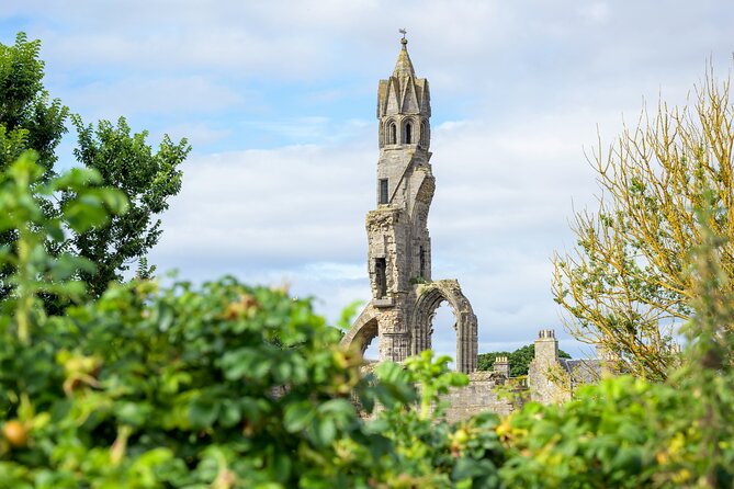 The Bike and E Bike Tour of St. Andrews and Beyond - Price value at $72.70 per person for a guided e-bike day