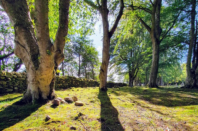 The Quieter side of Loch Ness - Getting oriented fast: Urquhart Castle-area views and Ness myths