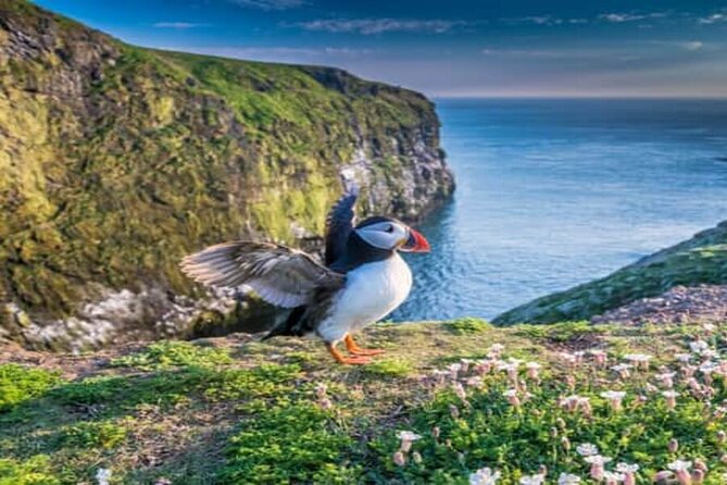 Top Of The Highlands Tour: John O' Groats, Caithness and More - Choosing your castle: Dunrobin Castle vs Castle of Mey