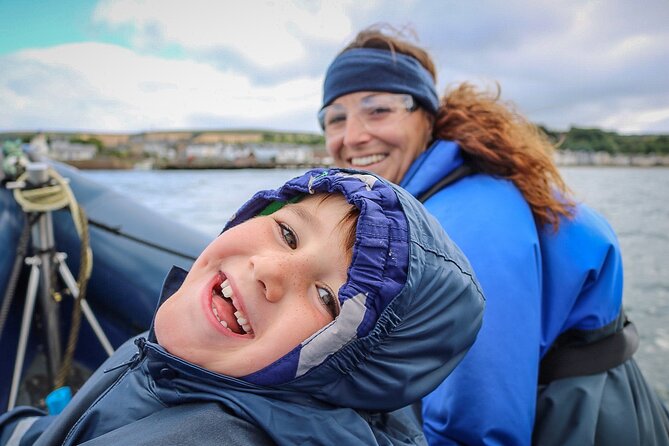 Wildlife Watching Boat Tour - Open water wildlife hunting: dolphins, seals, and the joy of not knowing