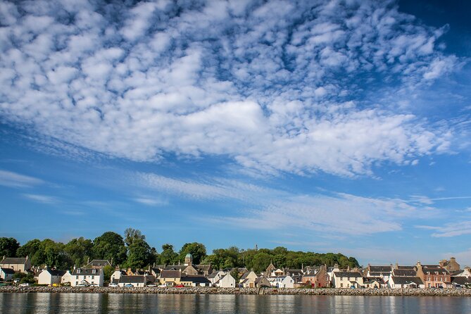Wildlife Watching Boat Tour - Seating on the RIB: why the back row can be tough