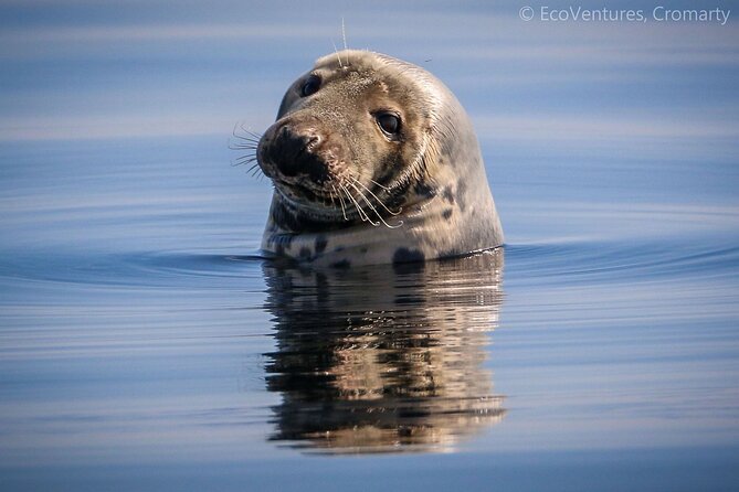 Wildlife Watching Boat Tour - What you actually get for the price in US dollars